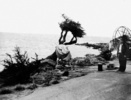 Vertigo (1958) - on location - ''Vertigo'' location filming at Cypress Point. The tree was a fake prop and the wind machine was used to blow Kim Novak's scarf around.