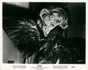 The Birds (1963) - publicity still - Publicity still for ''The Birds'' (1963).